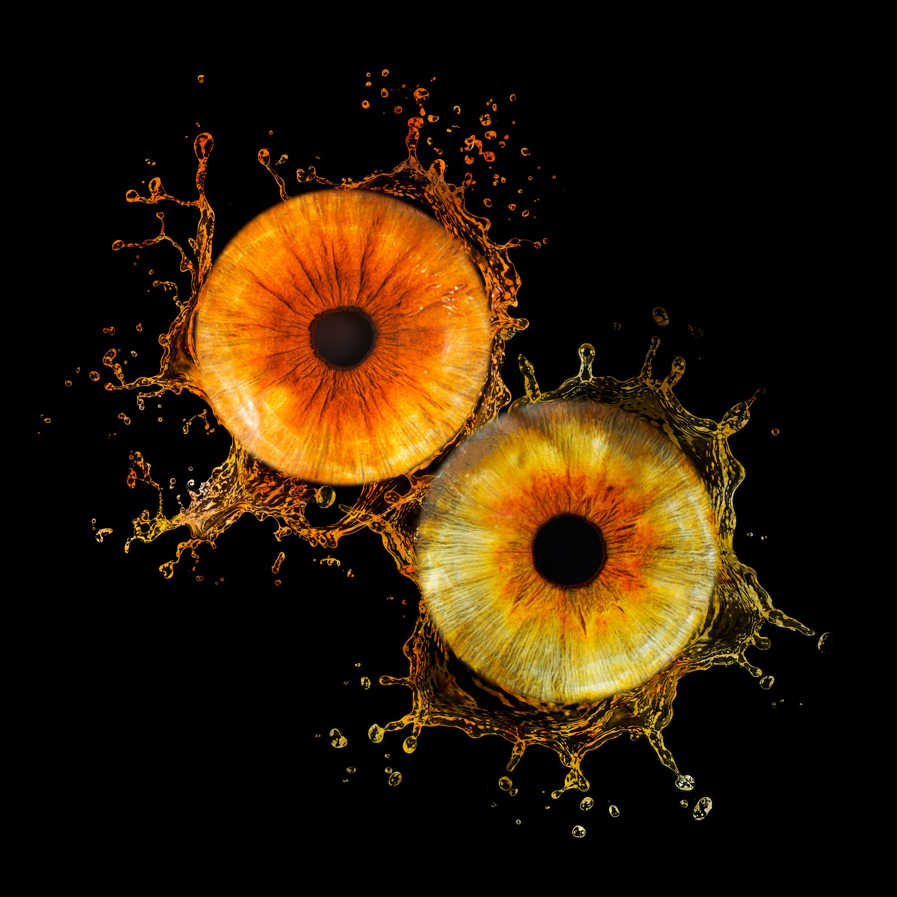 Deux iris, univers Splash