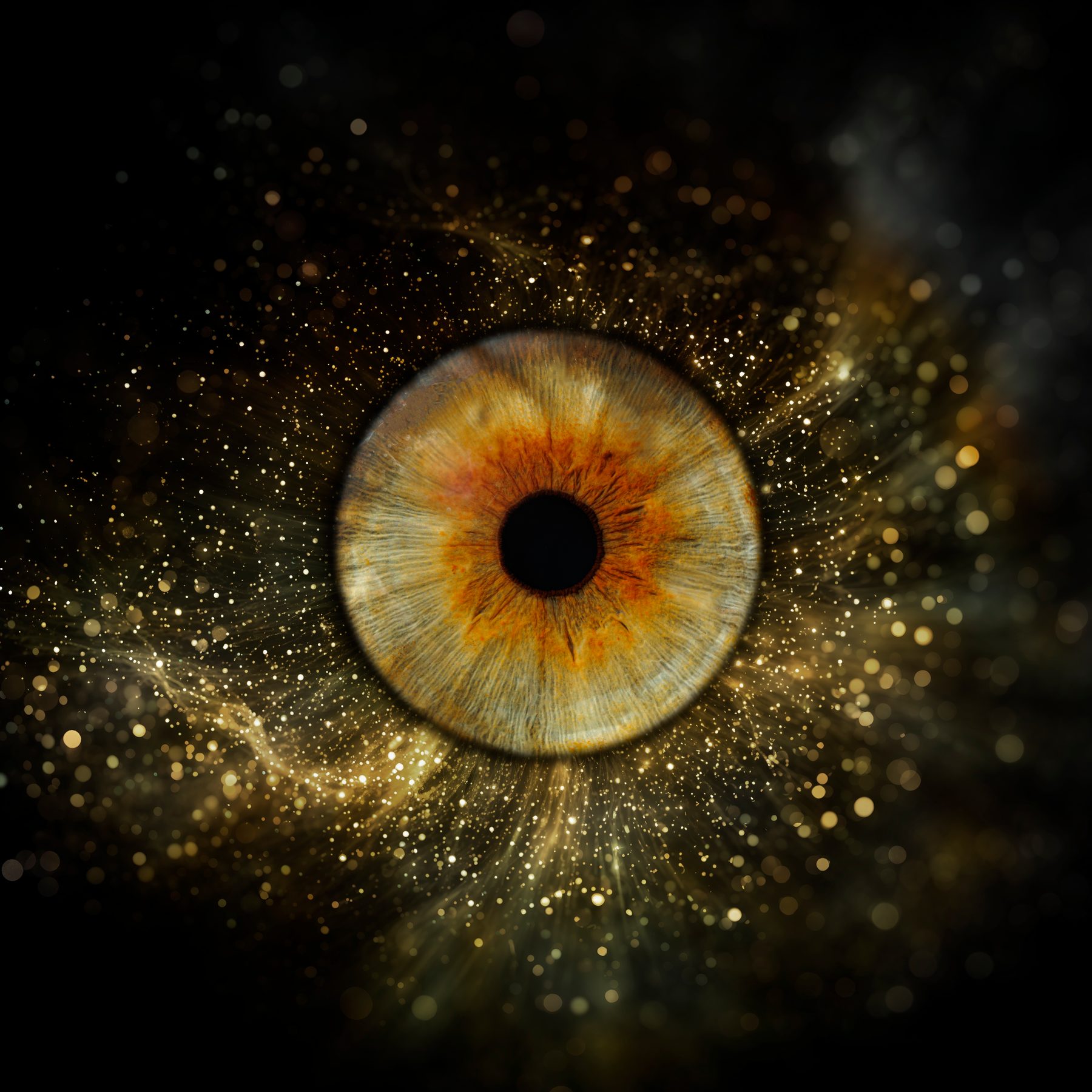 Iris, univers Poudre